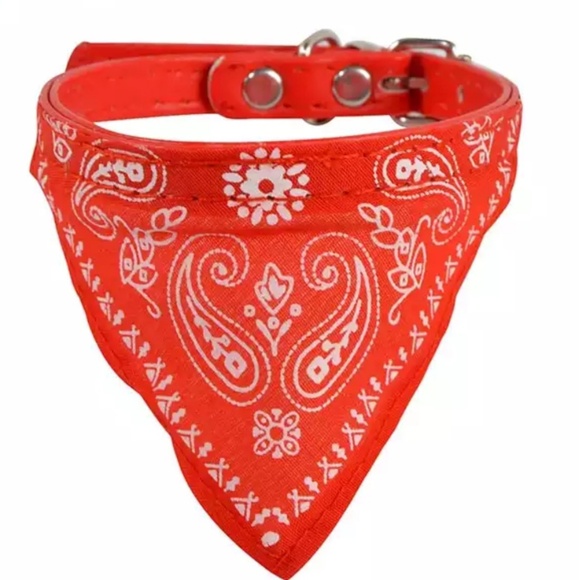 Small Bandana Collar - Picture 3 of 8